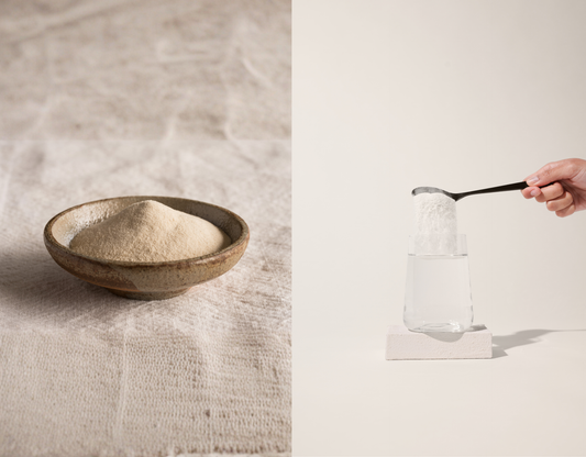 Collagen Peptides vs Gelatin: Which Should You Choose?